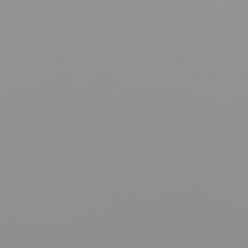 silver grey