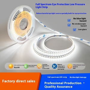 24V/12V stroboskopik kendinden yapışkanlı LED şeritler alçak gerilim tam spektrum göz koruma lambası oturma odası tavan manzara - Product Image 2