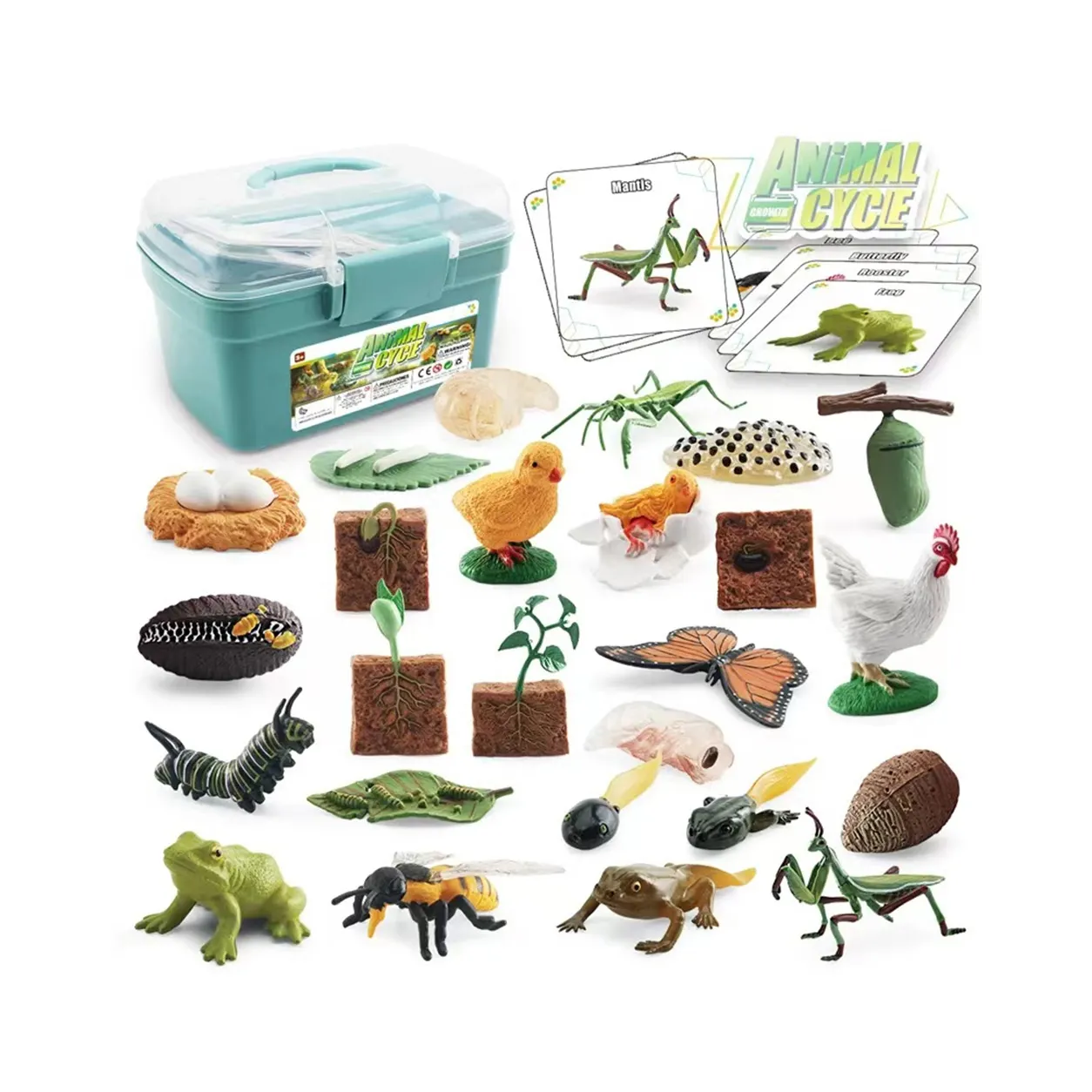 Apprendimento del ciclo di vita scienza apprendimento educazione giocattoli animali figurine per rana farfalla pollo Mantis piante d'api giocattolo Montessori