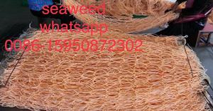 HDPE Seaweed Farm <strong>Net</strong> Agricultural <strong>Net</strong> Fish Farming <strong>Nets</strong>