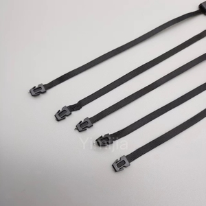 Factory Direct <strong>Custom</strong> Made Lastic <strong>String</strong> Hang <strong>Tags</strong> for Clothes Garment Lockable Ribbon Garment Hang <strong>Tag</strong> <strong>Strings</strong> - Product Image 2