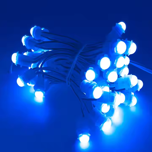 ホリデーデコレーションDC12V DC5V 9mm 12mmシングルカラーRGB RGBIC 1903 2811 1916プログラミング50個ストリングLEDピクセルライトレター用 - Product Image 6
