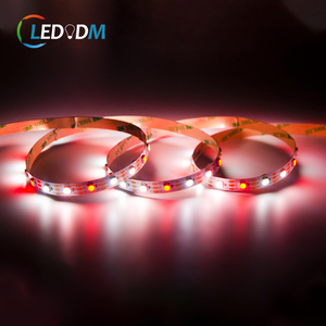 Programma illuminazione IP20 digitale striscia Led 10mm PCB WS2812B SK6812 WS2813B 5v indirizzabile RGB RGBW striscia di luce Flex - Product Image 1