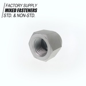 Hexagon vòm cap Nuts loại cao <span class=keywords><strong>acorn</strong></span> Nuts Metric Carbon thép sử dụng ô tô - Product Image 5