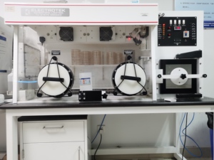 ผงโปรไบโอติก BB67 bifidum ที่มีฤทธิ์สูงสำหรับอาหารเสริมเพื่อสุขภาพ BB67 bifidum - Product Image 6