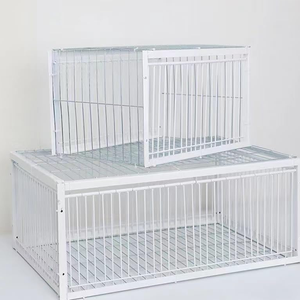 Cheap Foldable Bird Trap Cage <strong>Feral</strong> Pigeon Trap <strong>Humane</strong> Method With One-way Entrance 2/4 Doors Trapping Pigeons - Product Image 1