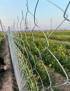 Prezzo all'ingrosso esagonale rete metallica per recinzione azienda agricola rete di pollo