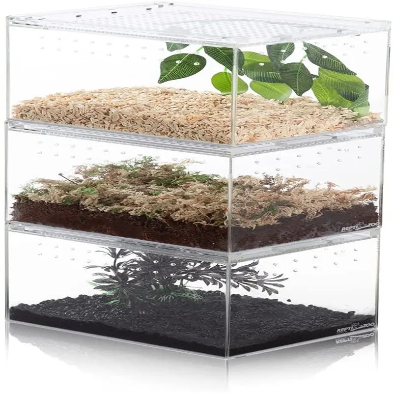 Boîte d'élevage de reptiles acryliques Terrarium Cage Réservoir pour petit bureau à domicile d'insectes reptiles