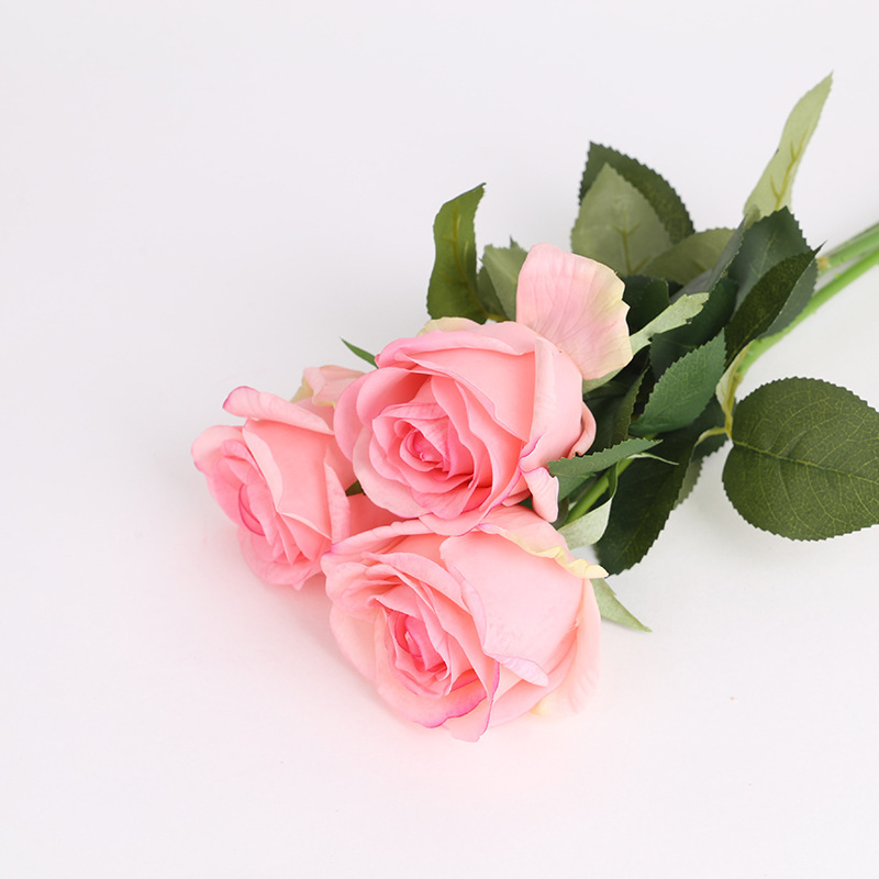 Rose foncé