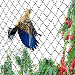Fabbricazione di reti anti uccelli rete agricola per voliera per uccelli rete per uccelli a buon mercato - Product Image 2