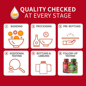Kapsul penurun berat badan organik alami OEM untuk manajemen energi suplemen buah dan sayuran efektif untuk dewasa - Product Image 5