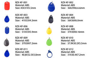 Programmierung T5577 Programmier bar Umschreib bar UID 125kHz ABS-Tag Schlüssel anhänger RFID-Schlüssel anhänger mit Schlüssel bund