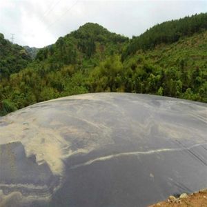 Kamboçya'da biyogaz Digester için 1.5mm HDPE LLDPE LDPE geomembran endüstriyel tasarım HDPE membran en iyi fiyat - Product Image 3
