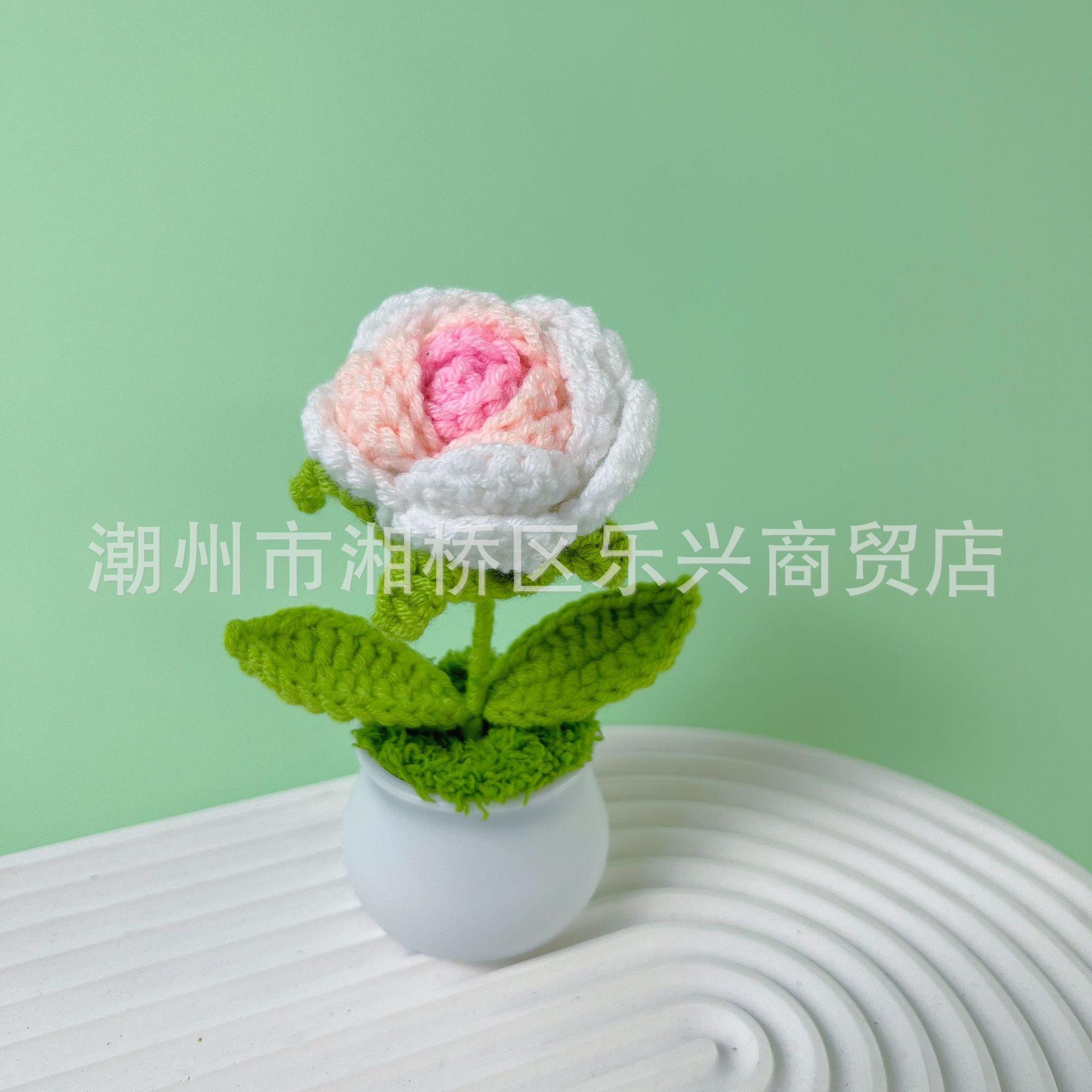 Rose Gradually varied pink small pot plant