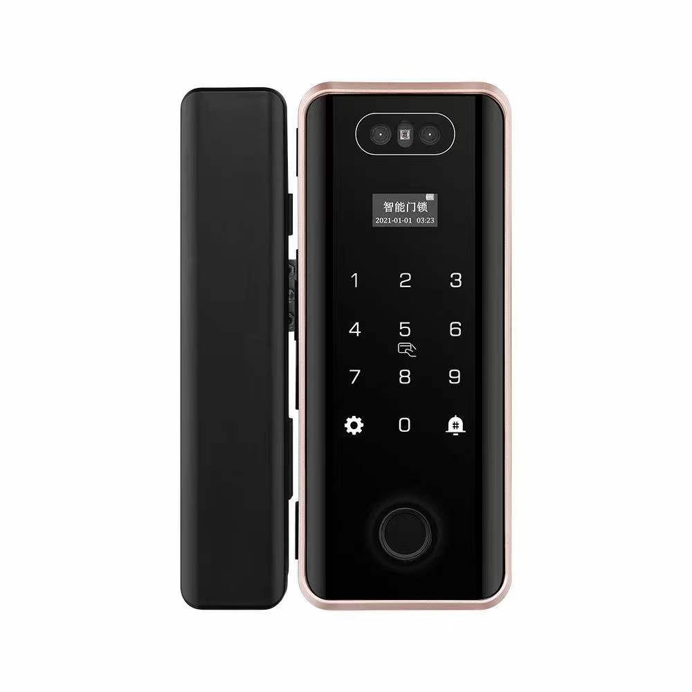 Competitive Price G5S 3D Face Recognition Glass Door Lock Biometric Passcode Fingerprint Smart Glass Door Lock