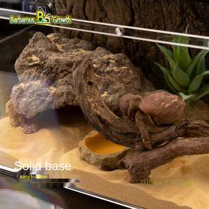 野蛮BG生长SZDB-003壁虎蜥蜴爬行动物蛇宠物避免食肉动物躲避树脂躲避洞隐藏洞穴