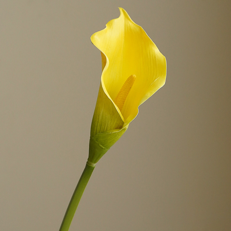 Jaune