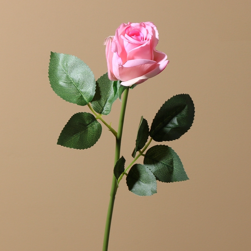 Rosa oscuro