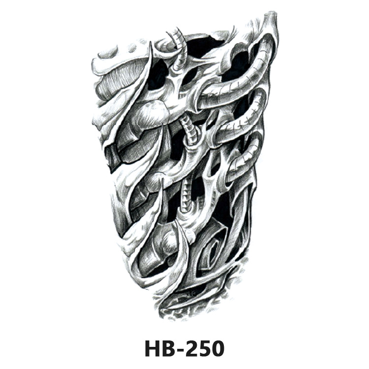 HB-250