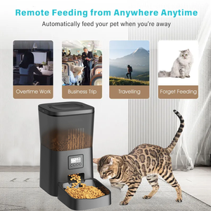 最受欢迎的4L/6L容量狗猫食物碗定时宠物喂食器智能宠物喂食器带摄像头自动喂食器