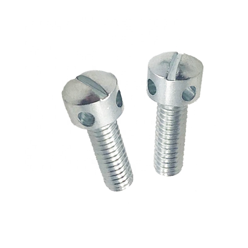 Din404 screw