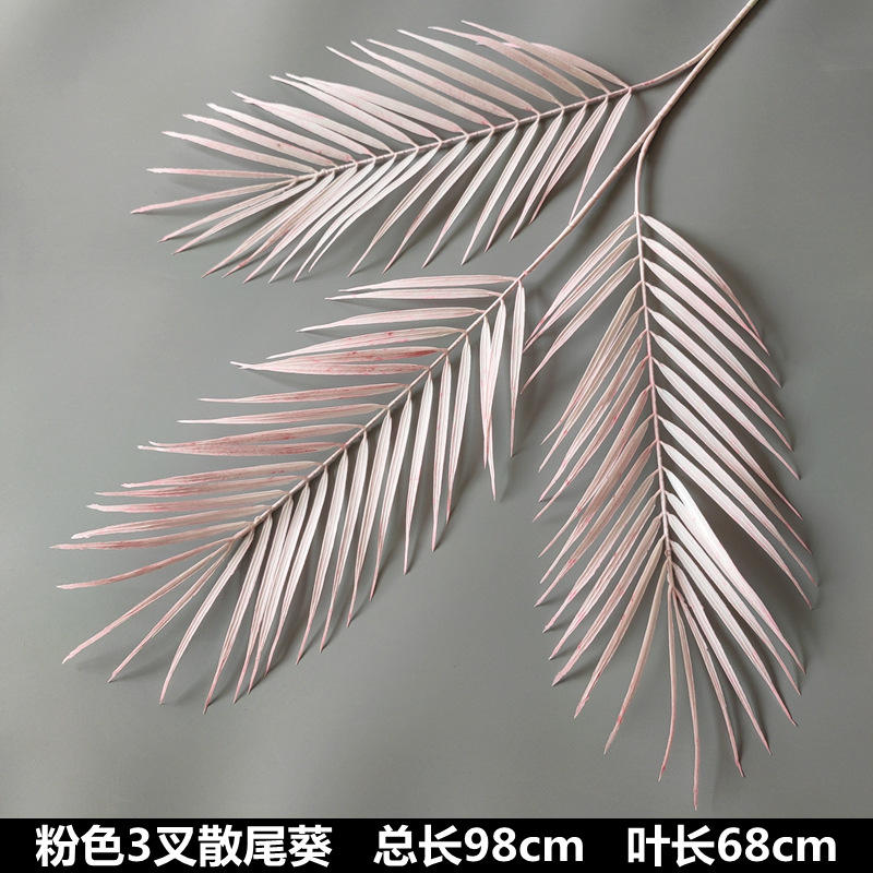 3-pinchos areca Palma