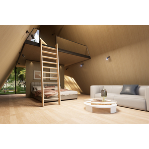 プレハブ低コスト三角住宅ロフト付き - Product Image 3