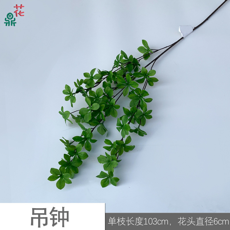 Cloche R Vert