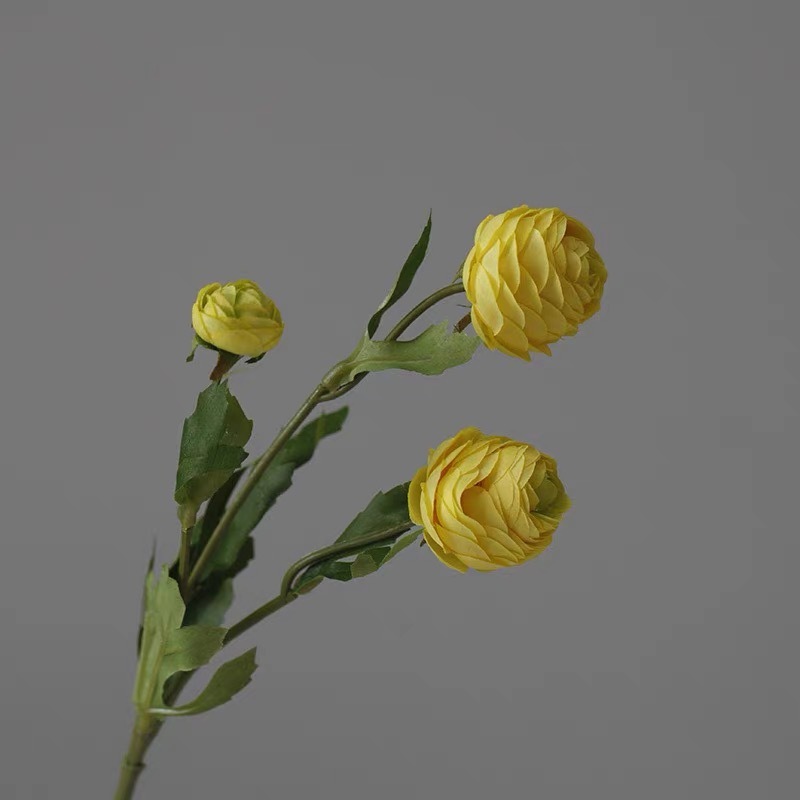 Amarillo