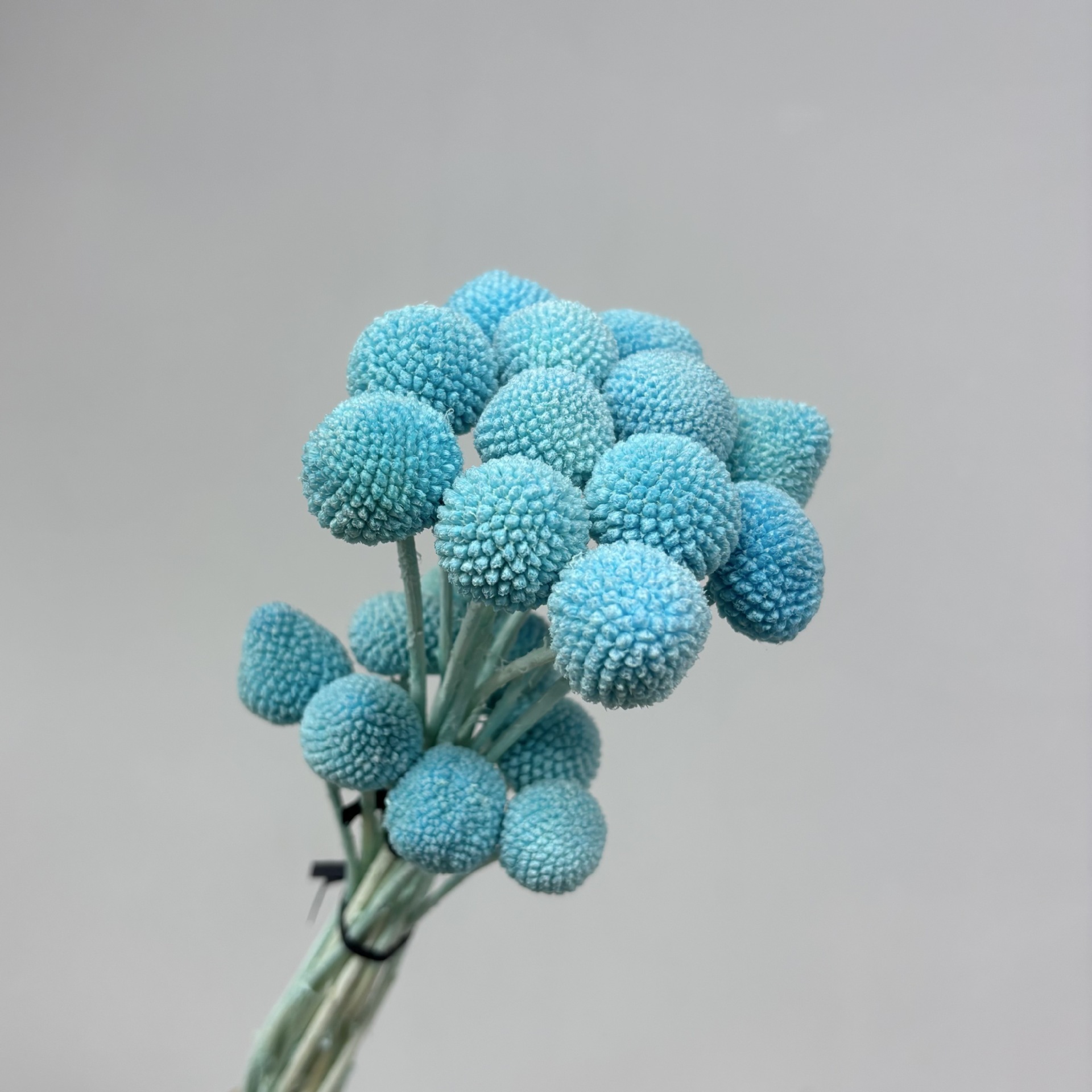 Nylon blue