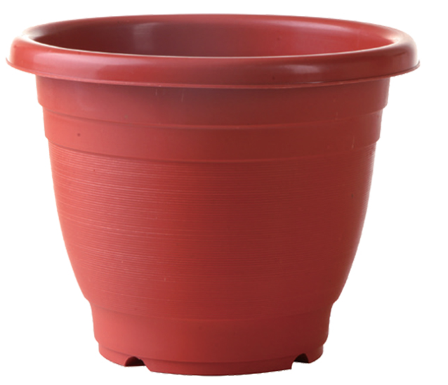Terracotta Color