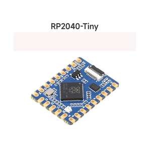 <strong>Raspberry</strong> <strong>Pi</strong> RP2040 Tiny microcontroller development board