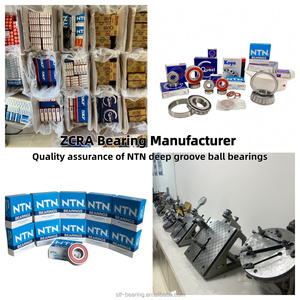 Ban Đầu Nt N Mang 6203 Llu C3 ZZ 2RS Singlerow Sâu Bóng Rãnh Mang Chất Lượng Cao Nhật Bản Không Gỉ Ván Trượt Mang - Product Image 5