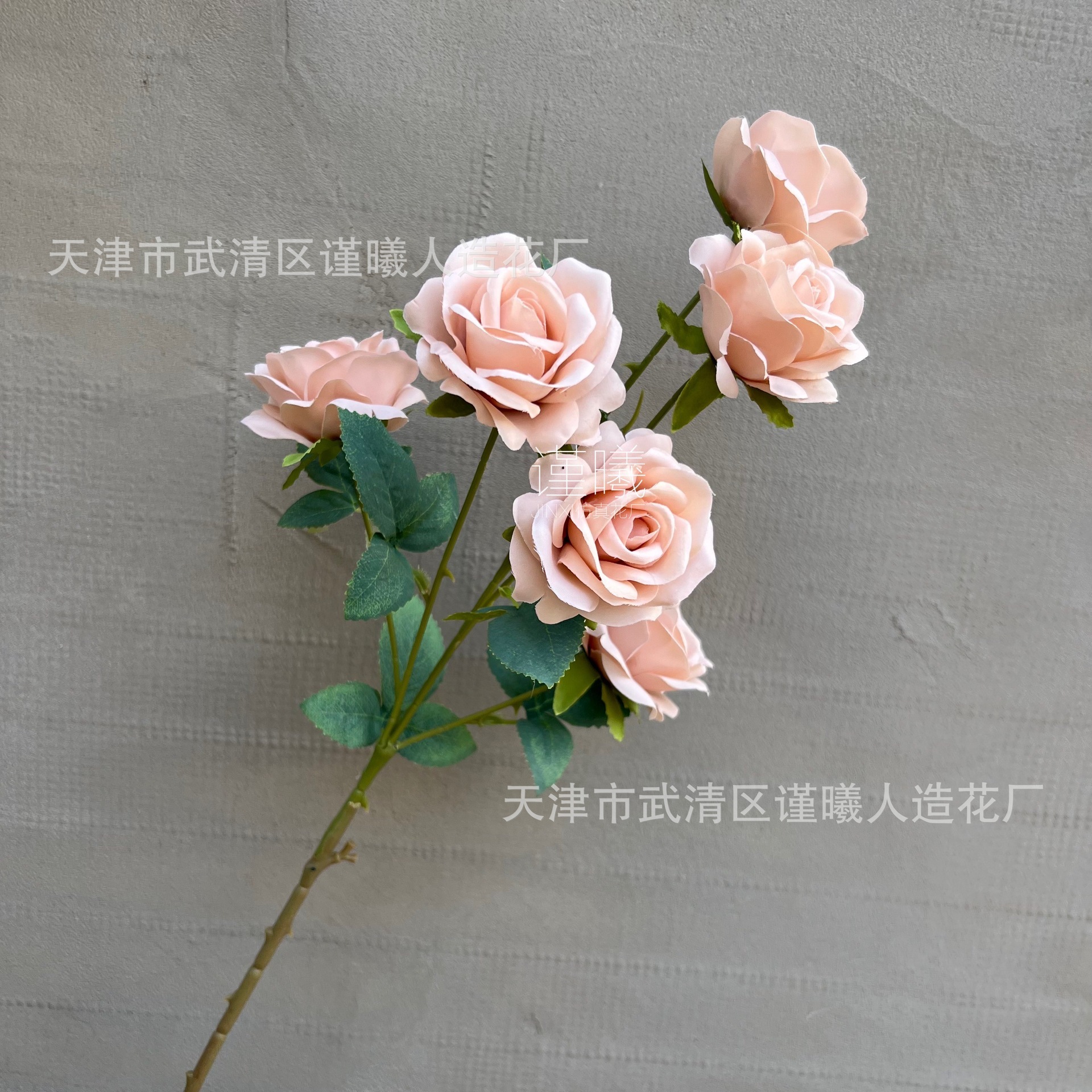 6 roses - dusty rose color