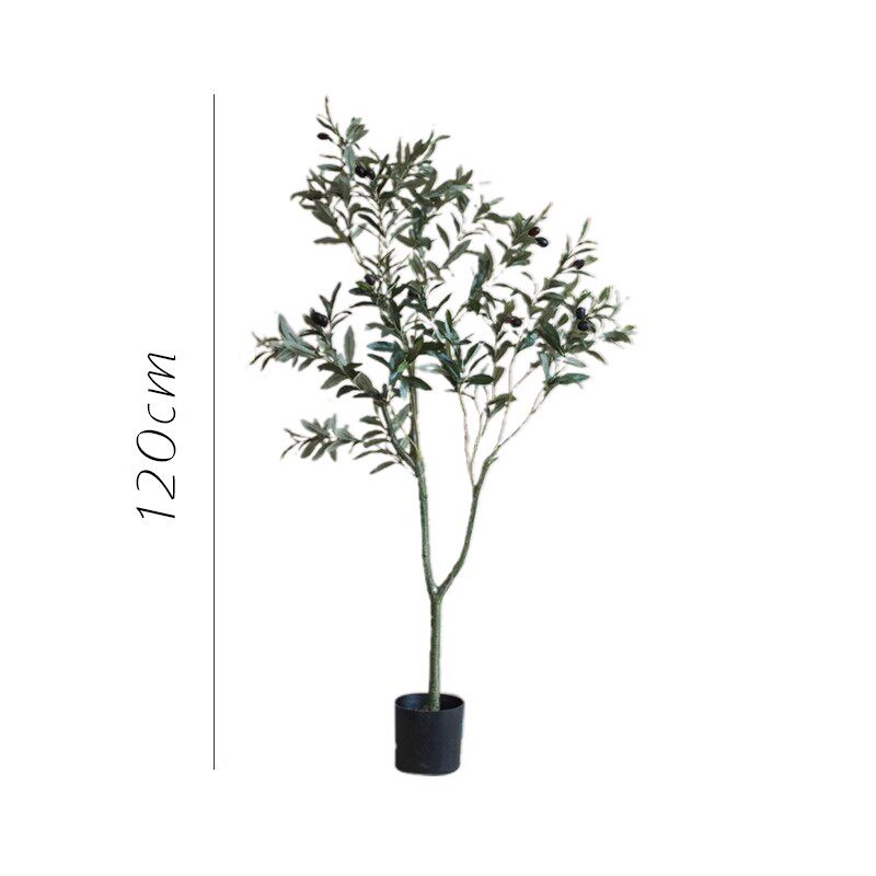 120cm-olive tree