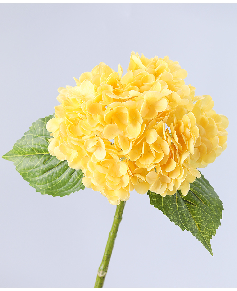 Jaune