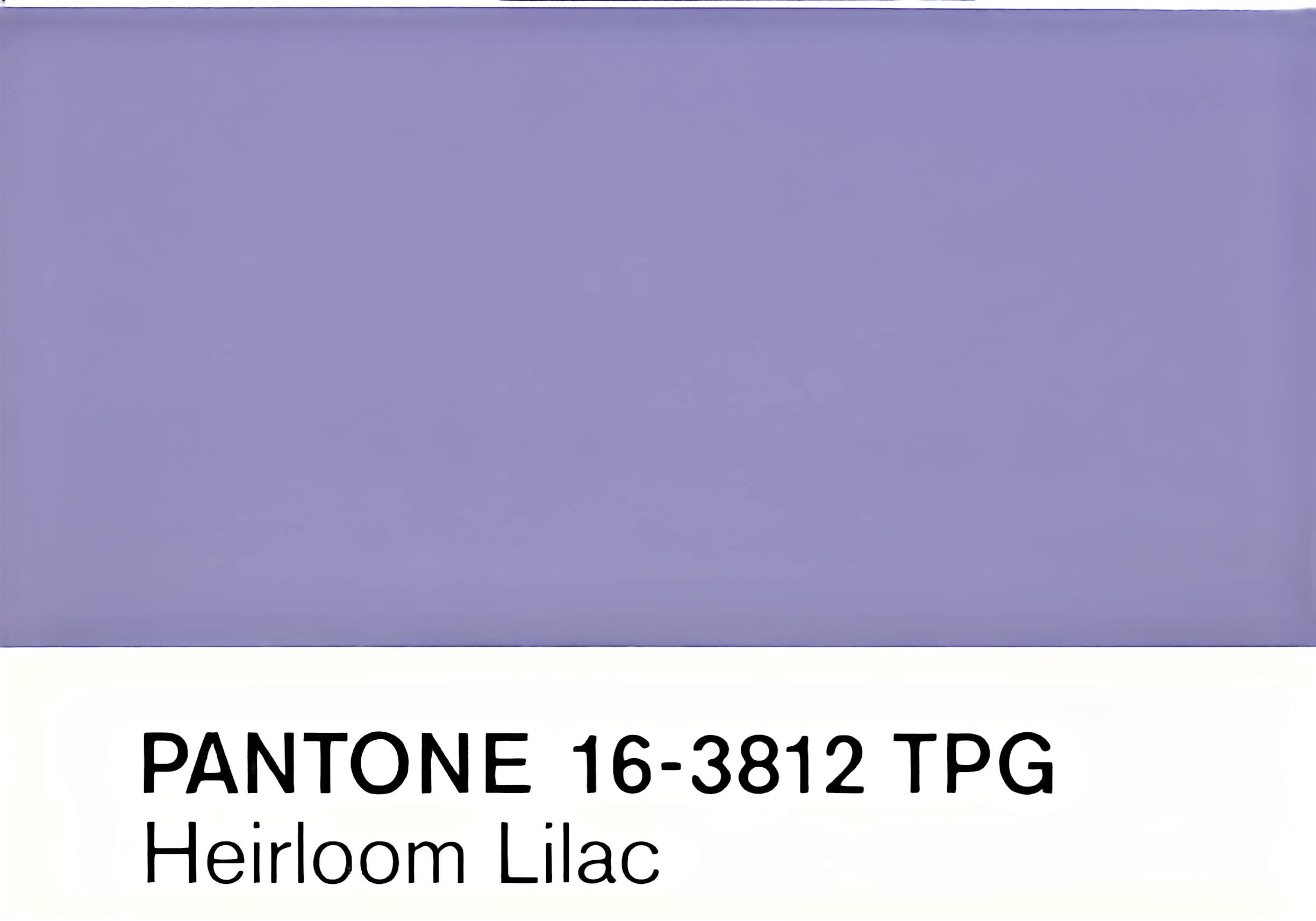 Heirloom Lilac