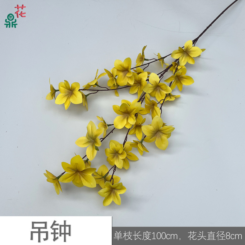Jaune Campanule