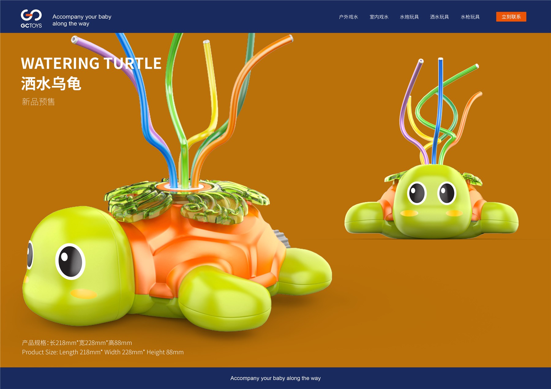 Tortue