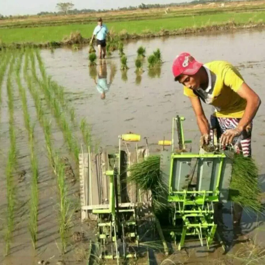 Plantador de sementes de arroz manual, máquina pequena de plantio de sementes de arroz manual para venda