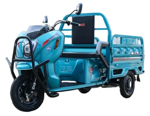 60v 58Ah 1500W 1000kg kalite güçlü güç 3 tekerlekli kargo elektrikli üç tekerlekli bisiklet taşıma mal için güçlü kargo kral