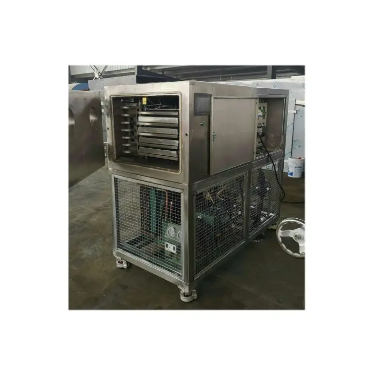 Небольшая вакуумная сублимационная сушильная машина лиофилизатор для овощей, фруктов, мяса, корма для домашних животных, сублимационная сушилка