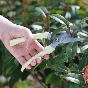 多功能花园修枝剪价格便宜园艺手工修枝剪花枝使用修枝剪专用剪刀