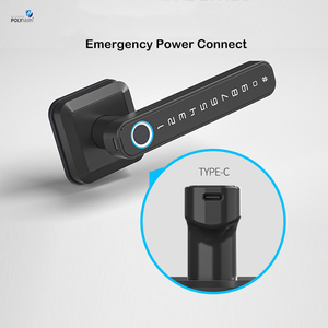 TTlock Tuya Smart WiFi telecomando biometria codice Password maniglia Smart Fingerprint Door Lock