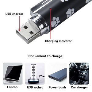 5 modelli regolabili Pet Chaser Toy Tease Stick allenamento penna Laser Usb ricarica giocattolo interattivo per gatti - Product Image 5
