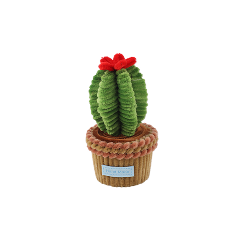 cactus1