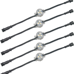 1903 30mm <strong>Led</strong> Point Lights RGB <strong>LED</strong> 12V String Light Individually Addressable Waterproof Full Color <strong>Led</strong> Pixel Light - Product Image 1