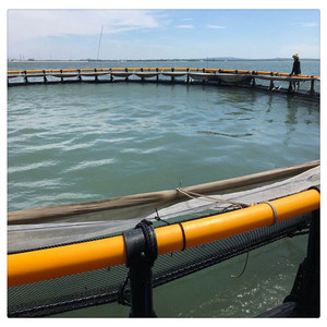 HDPE דגים צף כלוב דגי אמנון ציוד חקלאי סיני ספק