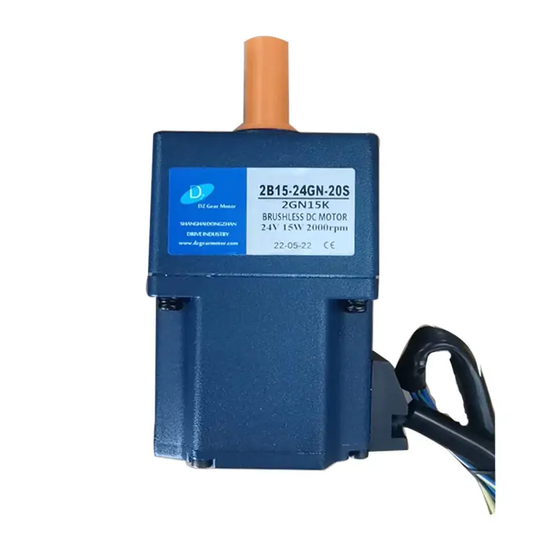 Brushless DC gear motor with drive