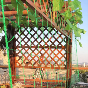 Fabbrica-diretta 19mm HDPE PE plastica resistente diamante maglia da giardino su misura Anti-uccello reticolato giardino agricoltura protezione rotolo - Product Image 3